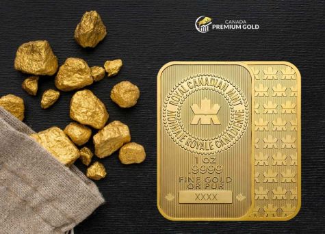 Navigating the Canadian Gold Stock Market A Beginner's Guide